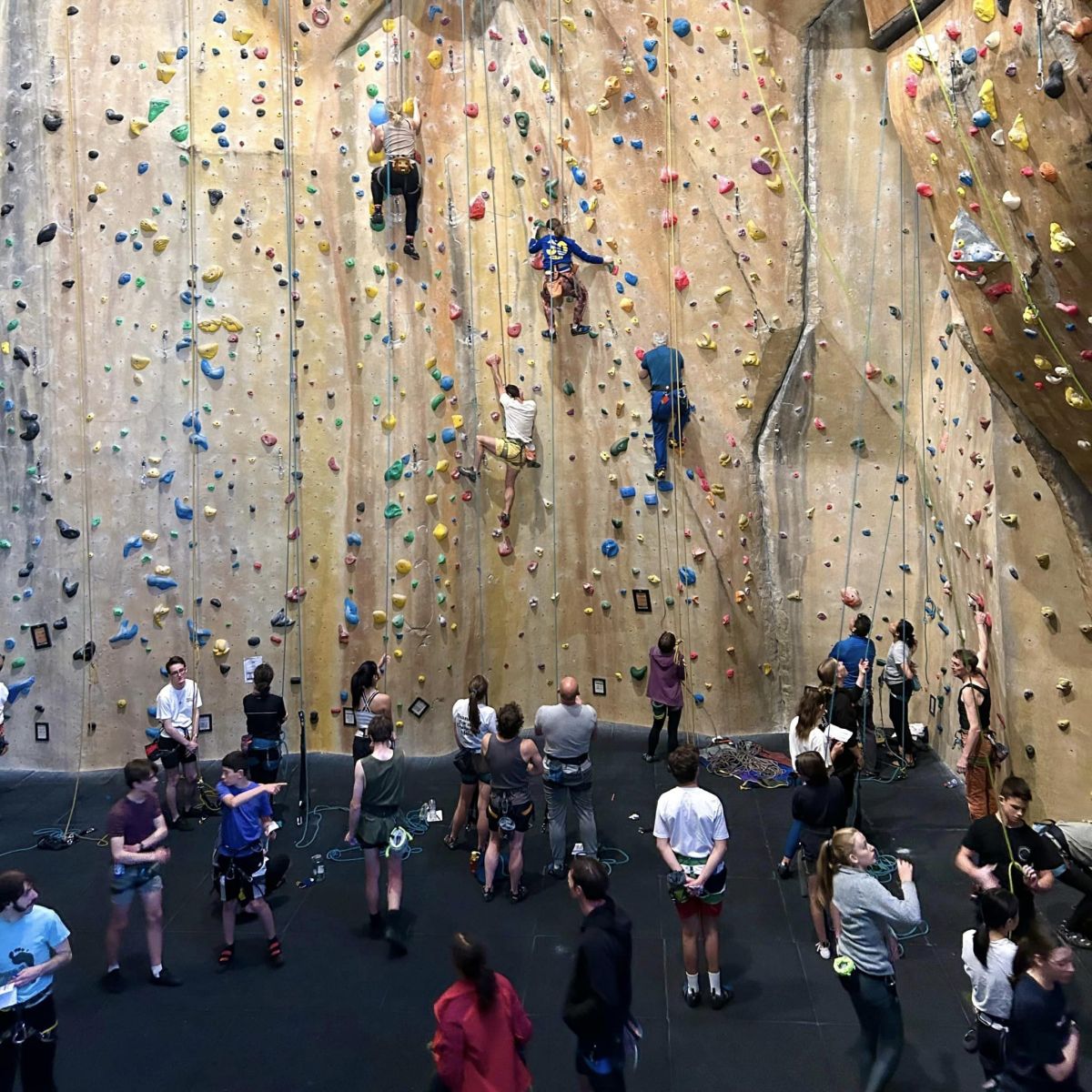 Climb O Rama 2022 Hardrock Climbing