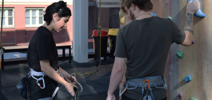 Lily Garan Banner v2